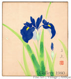 Unknown Artist | Japanese Irises