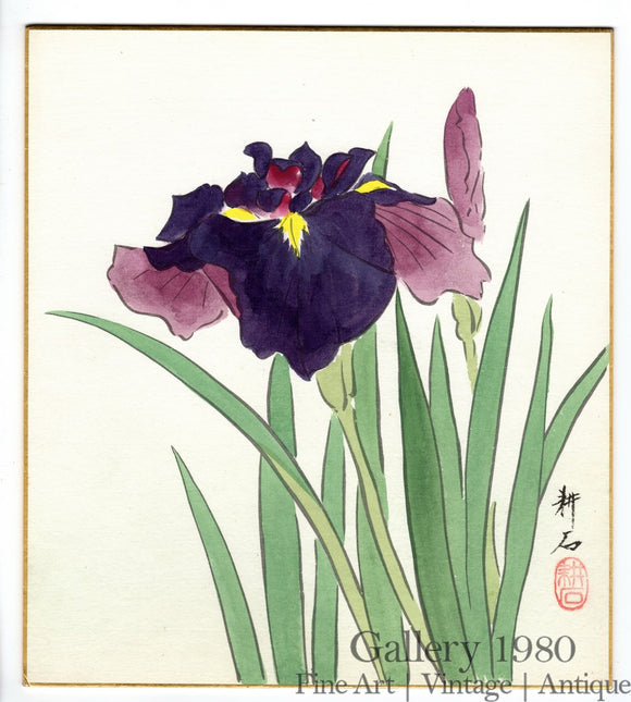 Unknown Artist | Japanese Irises in Bloom