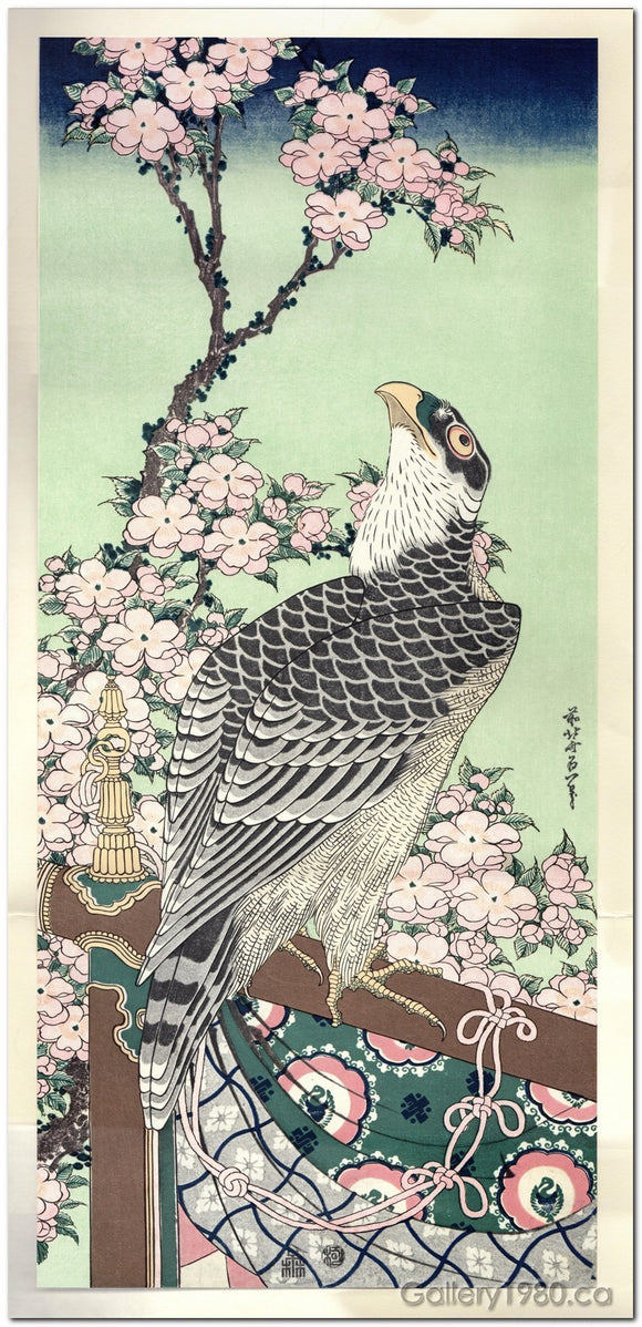 Hokusai | Falcon and Cherry Blossom