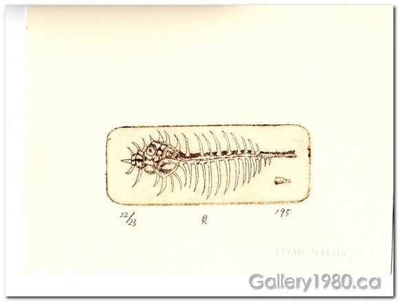 Matsuoka Takao | Fossilized Sea-life 2